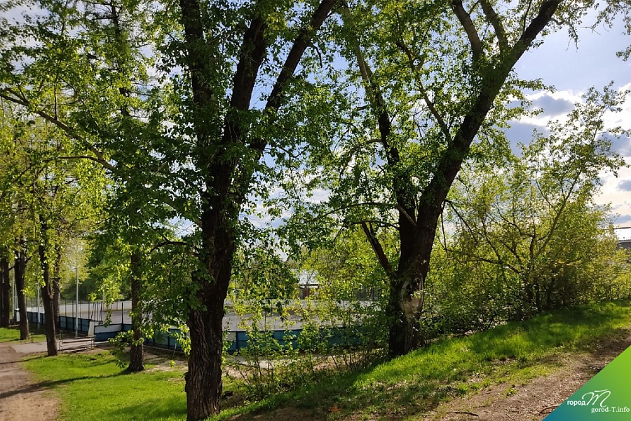 Сад Колмогорова